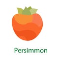Persimmon fruit logo, sweet food icon isolated on white background. Vector