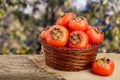 Persimmon fruit in a wicker basket on a wooden table with blurred garden background