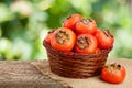 Persimmon fruit in a wicker basket on a wooden table with blurred garden background Royalty Free Stock Photo