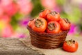 Persimmon fruit in a wicker basket on a wooden table with blurred garden background Royalty Free Stock Photo