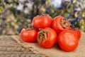 Persimmon fruit on wooden table with blurred garden background Royalty Free Stock Photo