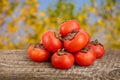 Persimmon fruit on wooden table with blurred garden background Royalty Free Stock Photo