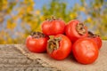 Persimmon fruit on wooden table with blurred garden background Royalty Free Stock Photo