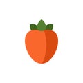 Persimmon icon in flat style Royalty Free Stock Photo