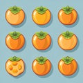 Persimmon icon set in flat vector style Royalty Free Stock Photo