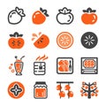 Persimmon icon set