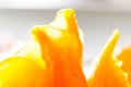 Persimmon macro - high detail