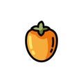 Persimmon flat outlined icon. Vector fruit logo isolated on white background. Vegan food symbol, media glyph for web