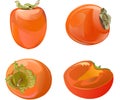Persimmon. Set. collection. Sweet southern fruit. Orange red. Boring and ripe. Tart.