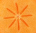 Persimmon slice - texture Royalty Free Stock Photo