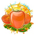 Persimmon. Summer orange fruit. Sun rays and juice splashes. Garden agriculture plant. Autumn southern harvest. Vector
