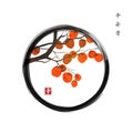 Persimmon tree branch with big orange fruits in enso zen circle on white glowing background. Translation of hieroglyphs
