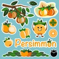 Persimmon vector art stickers and character