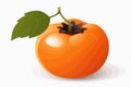 Persimmon vector flat minimalistic isolated illustration