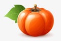 Persimmon vector flat minimalistic isolated illustration