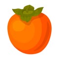 Persimmon vector icon.Cartoon vector icon isolated on white background persimmon. Royalty Free Stock Photo