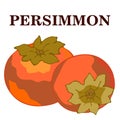 2751 persimmon, vector illustration in bright color, tropical fruits, persimmon, isolate on a white background