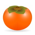 Persimmon vector isolated