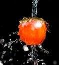 Persimmon in water on a black background Royalty Free Stock Photo