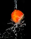 Persimmon in water on a black background Royalty Free Stock Photo