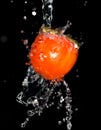Persimmon in water on a black background Royalty Free Stock Photo