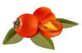 Persimmon whole and a piece with leaves on white background. Vector illustration