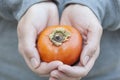 Persimmon in woman's palms