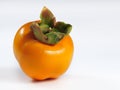 Persimmons 081