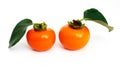 Persimmons