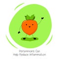 Persimmons Can Help Reduce Inflammation. Illustration about the Benefits of Persimmon. Kawaii style. Flat design