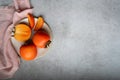 Persimmons fruit cut in half and into slices on a plate on a gray background Royalty Free Stock Photo