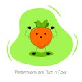 Persimmons are Rich in Fiber. Illustration about the Benefits of Persimmon. Kawaii style. Flat design. Tropical fruit