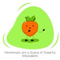 Persimmons are a Source of Powerful Antioxidants. Illustration about the Benefits of Persimmon. Kawaii style. Flat Royalty Free Stock Photo