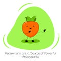 Persimmons are a Source of Powerful Antioxidants. Illustration about the Benefits of Persimmon. Kawaii style. Flat