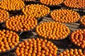 Persimmons under the sun Royalty Free Stock Photo