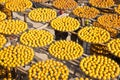 Persimmons under the sun Royalty Free Stock Photo