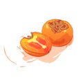 Persimmons watercolor style illustration with splash isolated on white background. Whole and half orange fruits vector