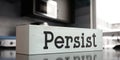 Persist - word on wooden block