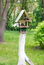 Persistent pigeons occupied the entire three-story bird feeder in the city park Royalty Free Stock Photo