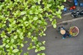 Person in asian bamboo hat walking with bananas on bike outdoors Royalty Free Stock Photo