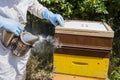Beekeeper inspecting honeycomb. Person in beekeeper suit using a smoker before opening his hive. Royalty Free Stock Photo