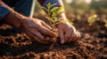 Person is bending down and touching soil with their hands. They are also holding onto small plant or tree in one of