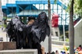 Person with black wings waiting