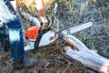 Person with chainsaw cutting wood