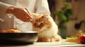 A person in a chef& x27;s uniform is feeding an orange tabby cat, AI Royalty Free Stock Photo