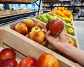 Person chooses apple on counter. Apple variety benefits and calorie content