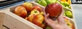 Person chooses apple on counter. Apple variety benefits and calorie content