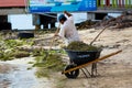 Person cleaning seashore from weed Royalty Free Stock Photo