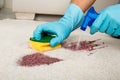 Person Cleaning Stain On Carpet