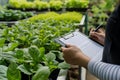 person with a clipboard checking greenhouse plants